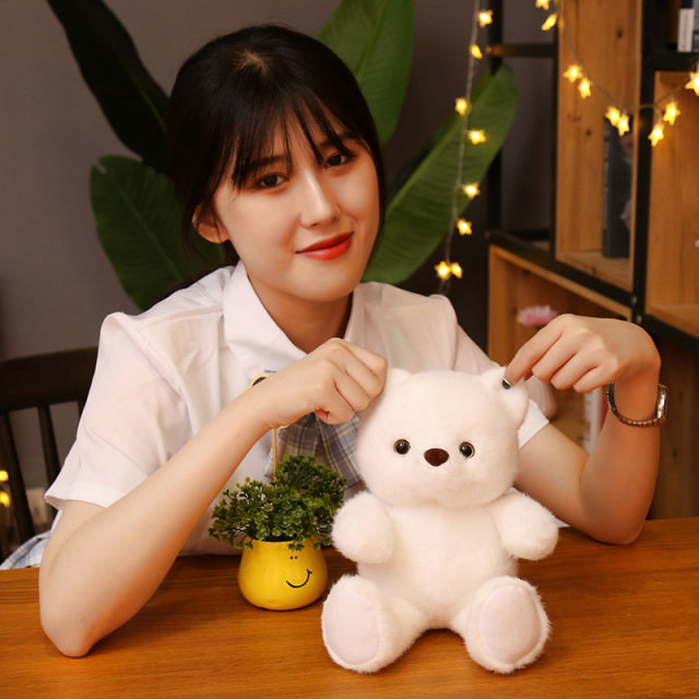 Jetzt Kuscheliger Teddy Bär aus Plüsch bei Kuscheltiere.store kaufen