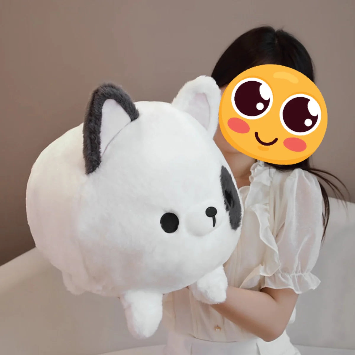 Kugelrundes Shiba-Glück