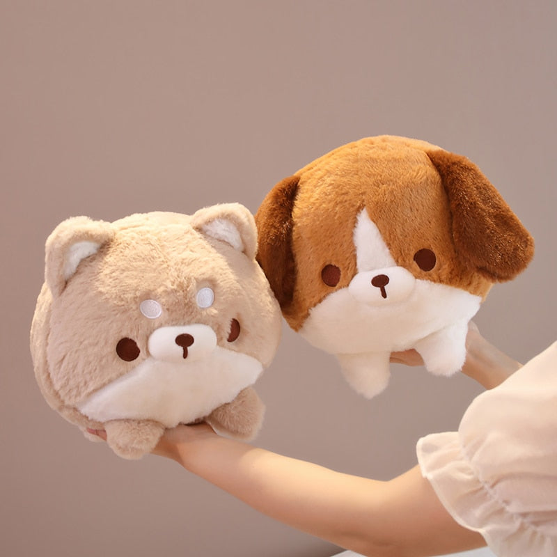 Kugelrundes Shiba-Glück