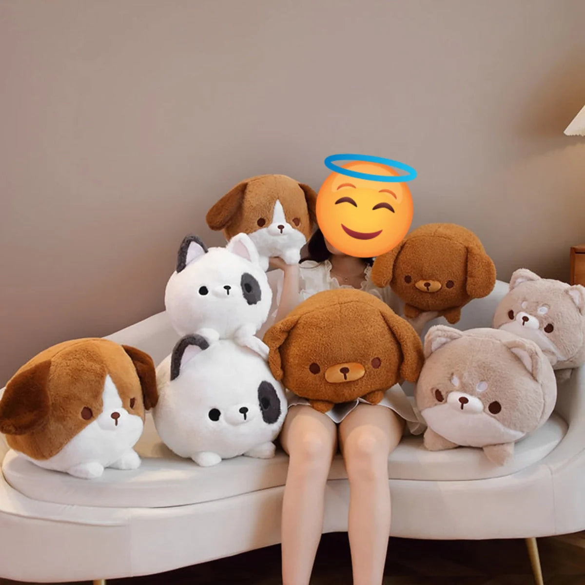 Kugelrundes Shiba-Glück