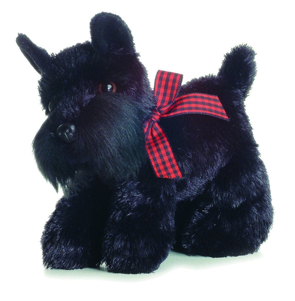 Scotty - Treuer Terrier Freund