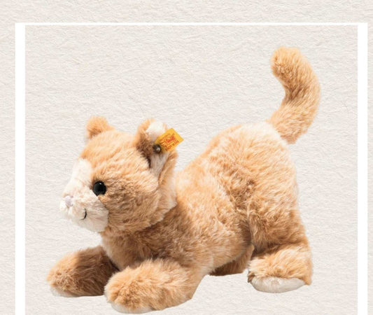 Mimi - Schmusekatze