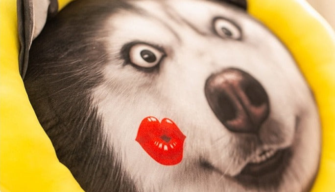Sonnenschein-Husky Kissen