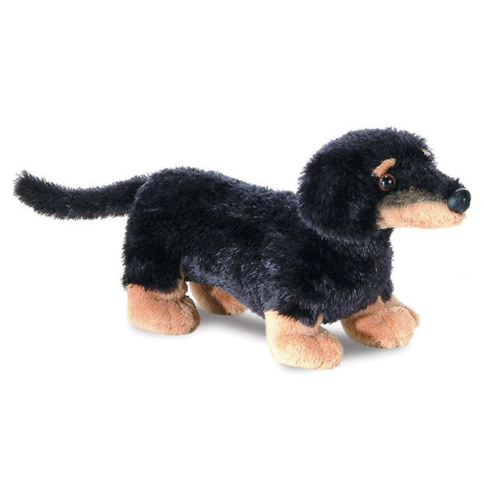 Wiener Dackel Kuschelpartner