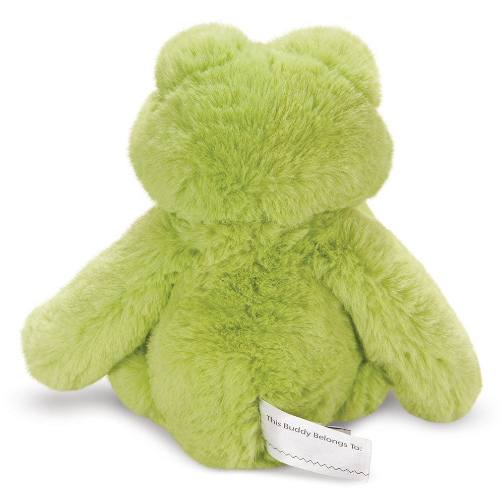 Buddy der Grüne Frosch