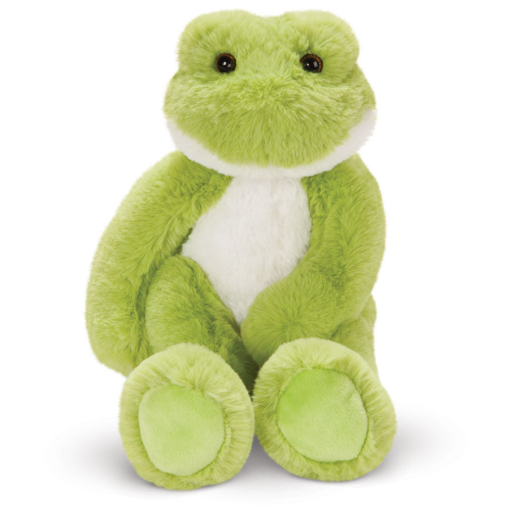 Buddy der Grüne Frosch