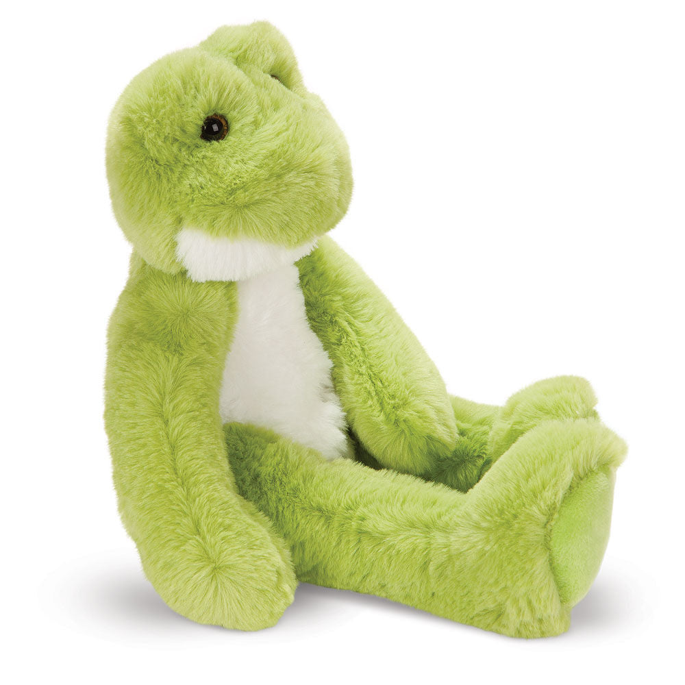 Buddy der Grüne Frosch