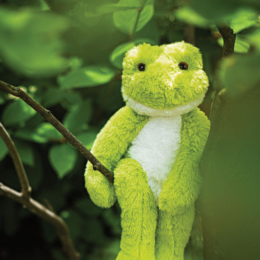 Buddy der Grüne Frosch