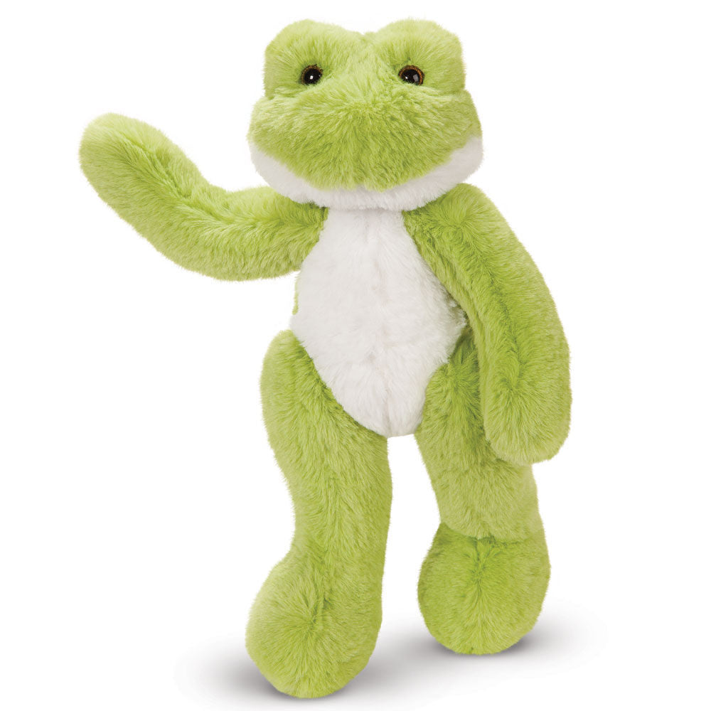 Buddy der Grüne Frosch