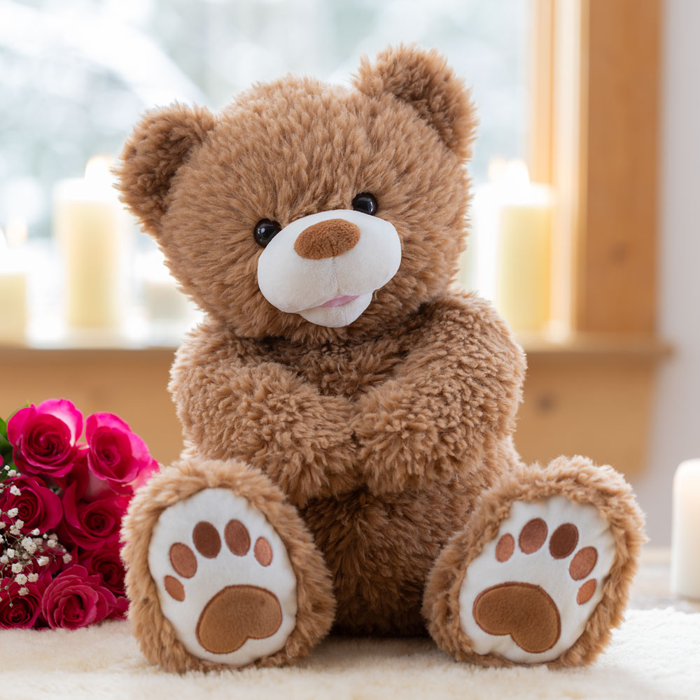 Flauschiger Teddy Bär Plüsch