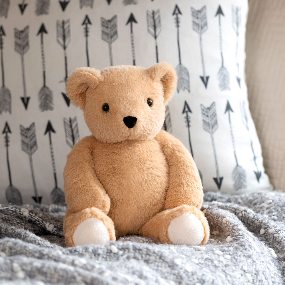 Kuschelbär Plüschfreund