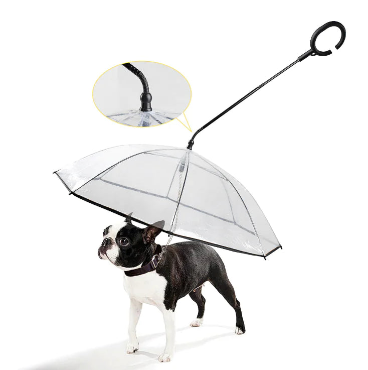 Transparenter hundeschirm – RainGuard