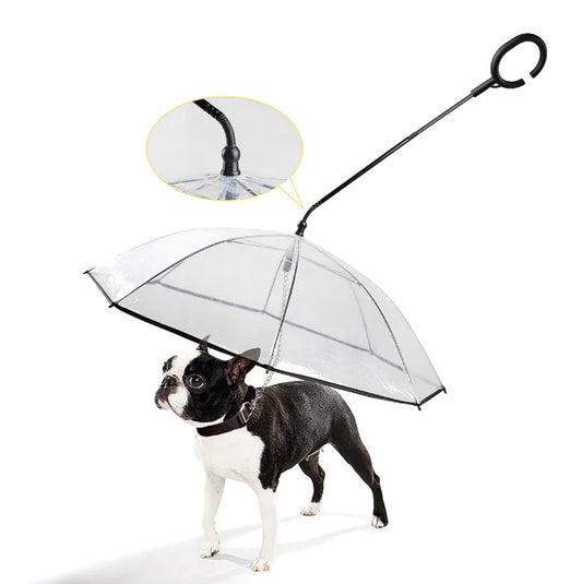 Transparenter hundeschirm – RainGuard