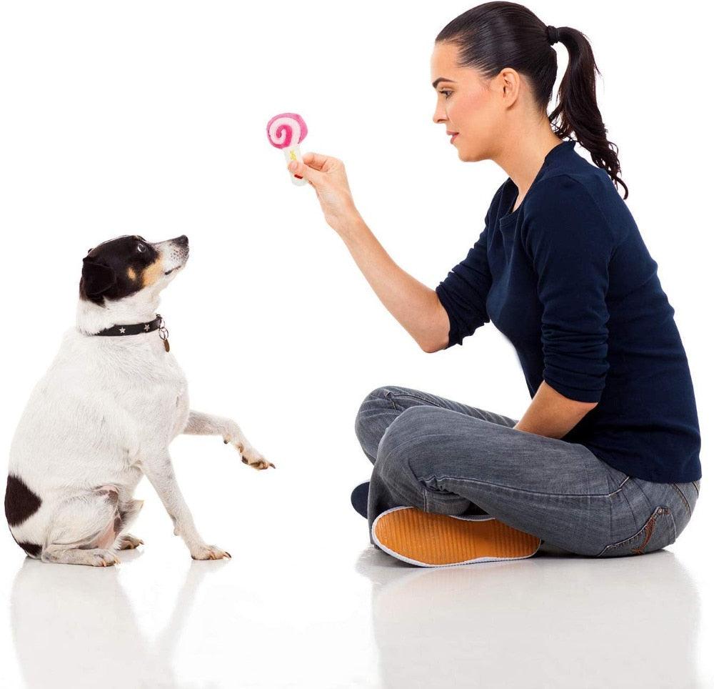 Adorable Food Puppy Pet Toys