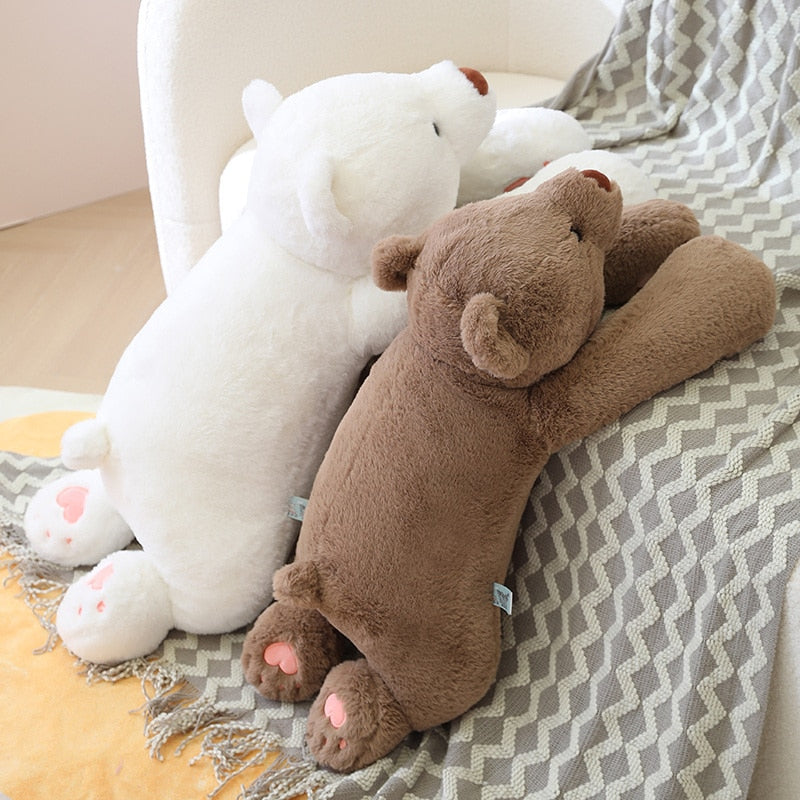 Bohne der Bär
