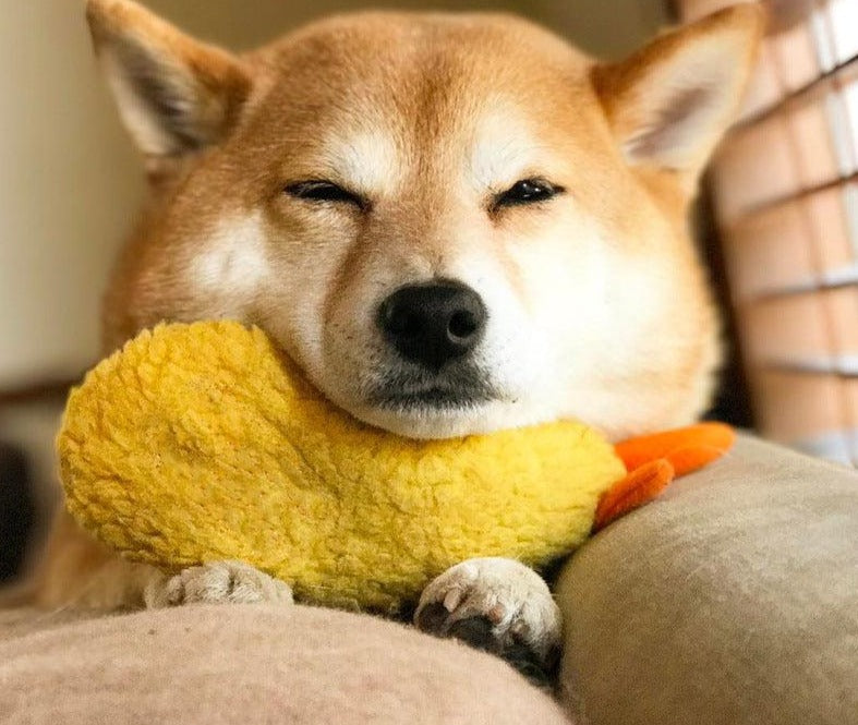 Gebratene Garnele Tempura Hund Haustier Kauspielzeug