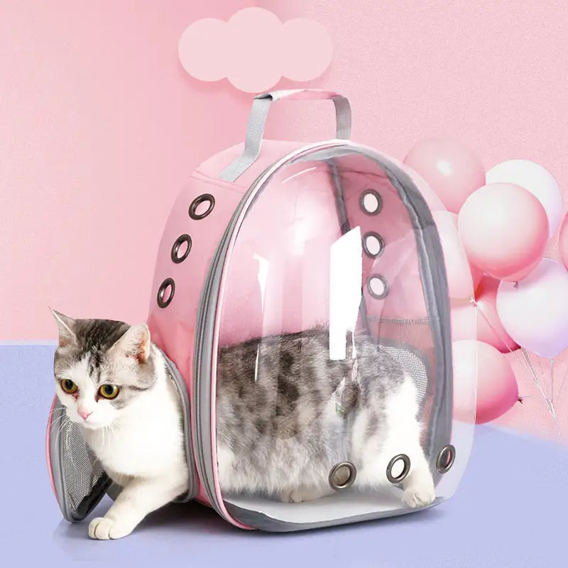 Haustier-Rucksackträger für Hund und Katze