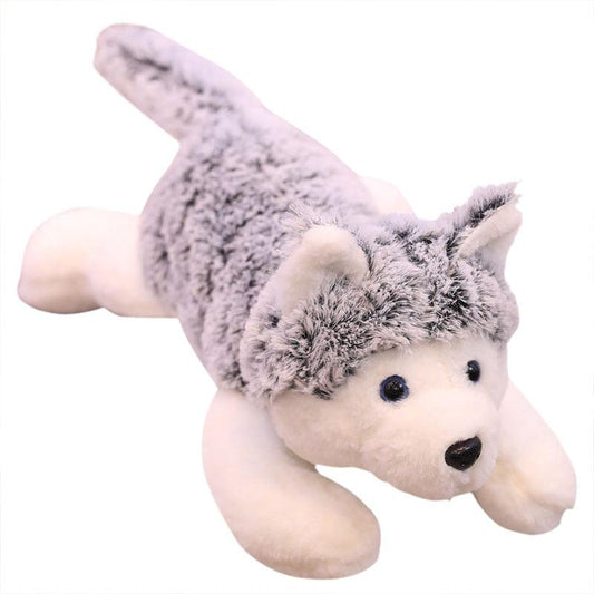 Riesen-Kuschelhusky
