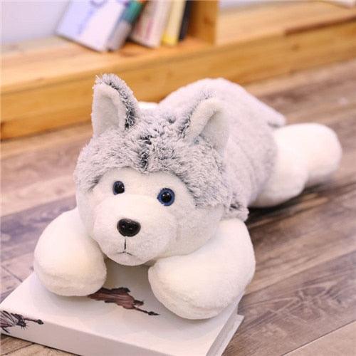Riesen-Kuschelhusky