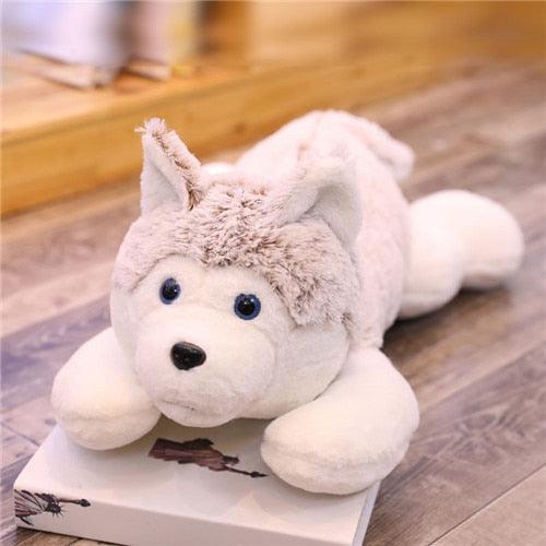 Riesen-Kuschelhusky