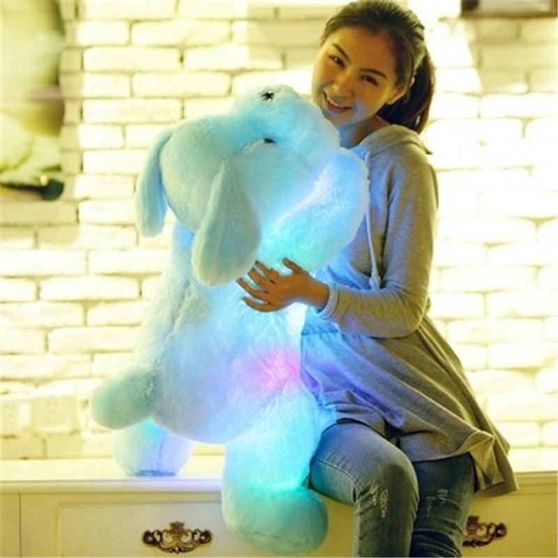 Leuchtend bunter Teddy Hund LED Licht Plüsch Kissen Spielzeug