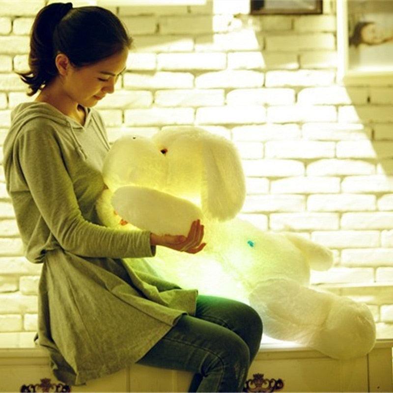 Leuchtend bunter Teddy Hund LED Licht Plüsch Kissen Spielzeug