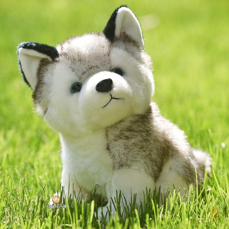 Husky Hund Plüsch